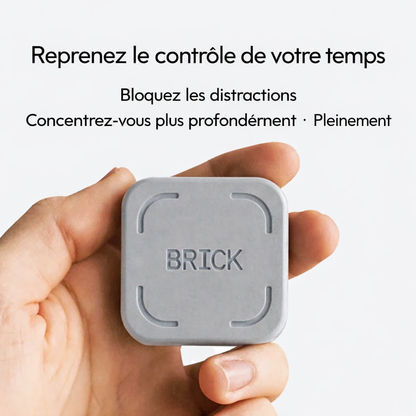 Hand holding a gray device labeled 'BRICK' with French text on a white background
