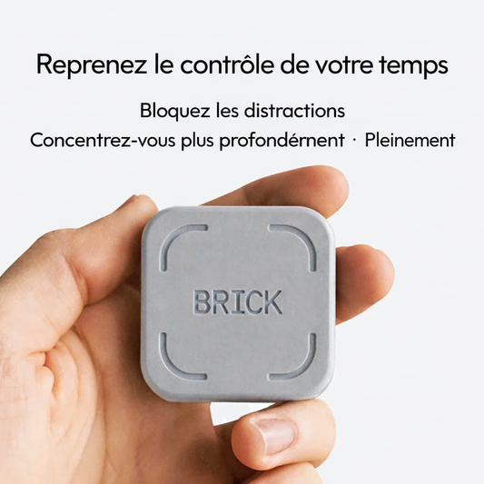 Hand holding a gray device labeled 'BRICK' with French text on a white background